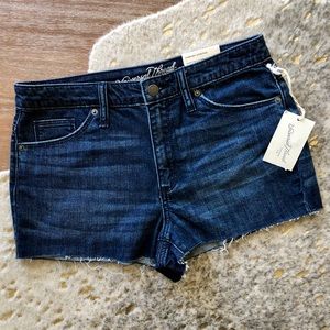 Universal Thread High-Rise Jean Shorts, Size 8/29